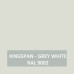 Kingspan GREY WHITE - RAL 9002 - Aerosol 400ml