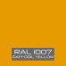 RAL 1007 Touch Up Paint