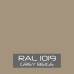 RAL 1019 Paint
