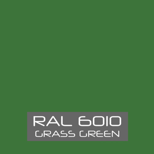 RAL 6010 Paint