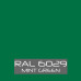RAL 6029 Paint