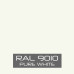 RAL 9010 Paint